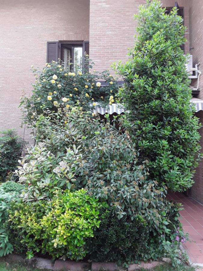 B&B La Rosa Gialla Maranello Bagian luar foto